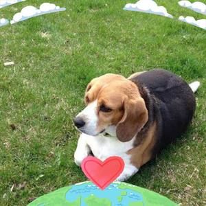 Meet your Posher, Karen